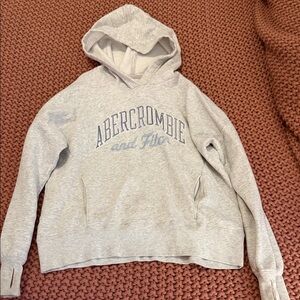 Abercrombie Kids Gray Hoodie